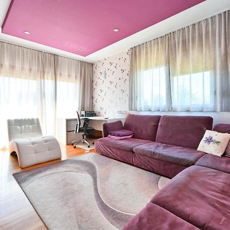 Holiday Villa Rita , Ideal For Families, Pool, Large Childrens Playground Varaždin Buitenkant foto